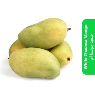 White Chaunsa Mango (سفید چونسا آم)